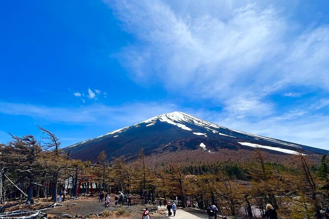 Mt. Fuji & Hakone Tour Tokyo Hotel Pick-Up & Drop-Off by Grayline - Additional Information