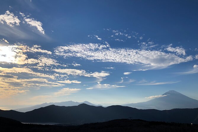 Mt. Fuji & Hakone Tour Tokyo Hotel Pick-Up & Drop-Off by Grayline - Customer Reviews