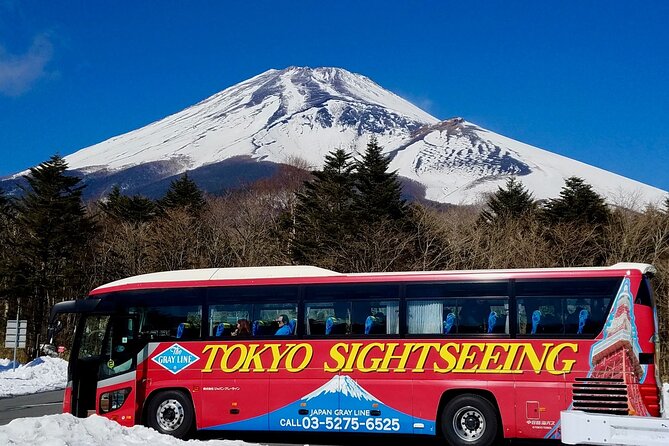 Mt. Fuji & Hakone Tour Tokyo Hotel Pick-Up & Drop-Off by Grayline - Good To Know