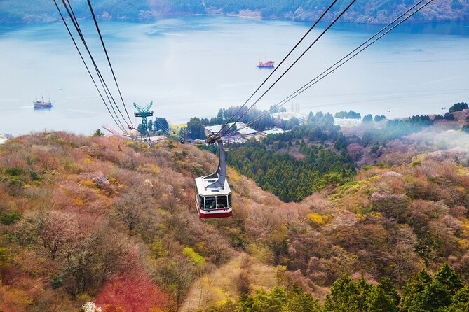 Full Day Private Tour Mt. Fuji, Hakone and Lake Ashi - Transportation and Comfort: Why It Matters