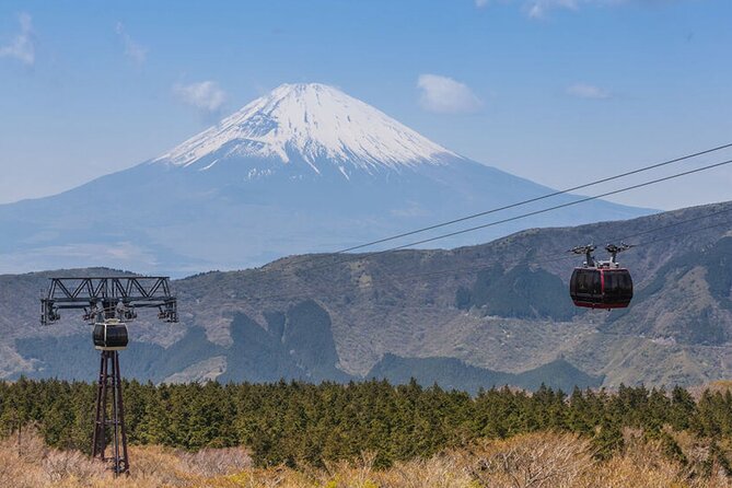 Private Hakone Tour with a Luxury Van - Exploring Hakone in Style and Comfort