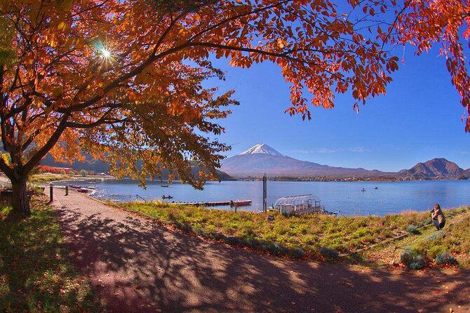 Mt. Fuji 5th Station Arakurayama Sengen Park, Oshino Hakkai Tour - In-Depth Look at the Tour Experience