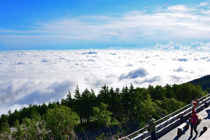 Mt. Fuji 5th Station Arakurayama Sengen Park, Oshino Hakkai Tour - Key Points