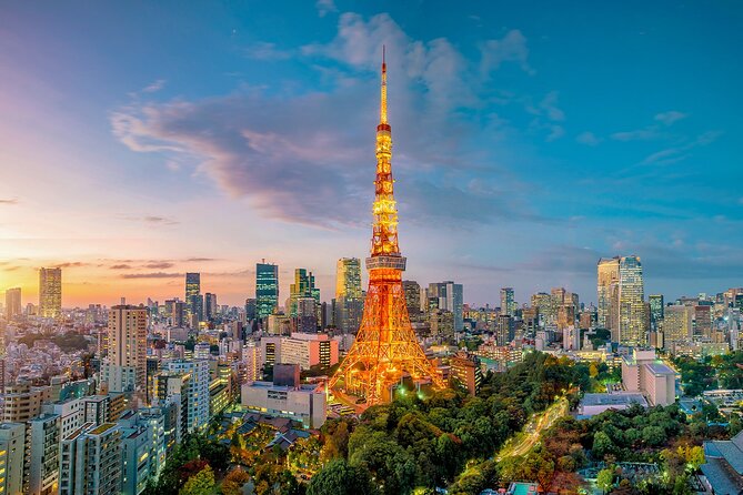 Private Tokyo Tour with English Speaking Guide - FAQ