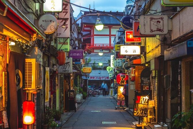 Private Tokyo Tour with English Speaking Guide - The Sum Up: Who Will Love This Tour?