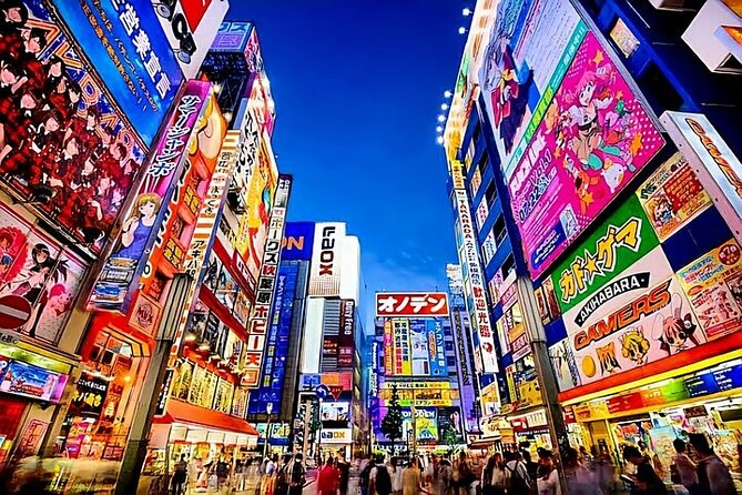 Tokyo Private Tour with English Speaking Driver Customizable - Key Points
