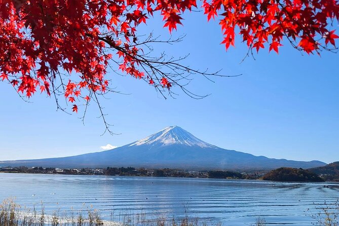 Mount Fuji and Lake Kawaguchi Private Day Trip From Tokyo - Key Points