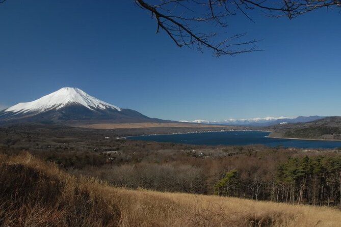 Private Full-Day Guided Tour in Mount Fuji Lakes - Who Will Love This Tour?