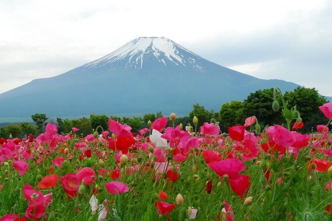 Private Full-Day Guided Tour in Mount Fuji Lakes - The Sum Up: Is It Worth It?