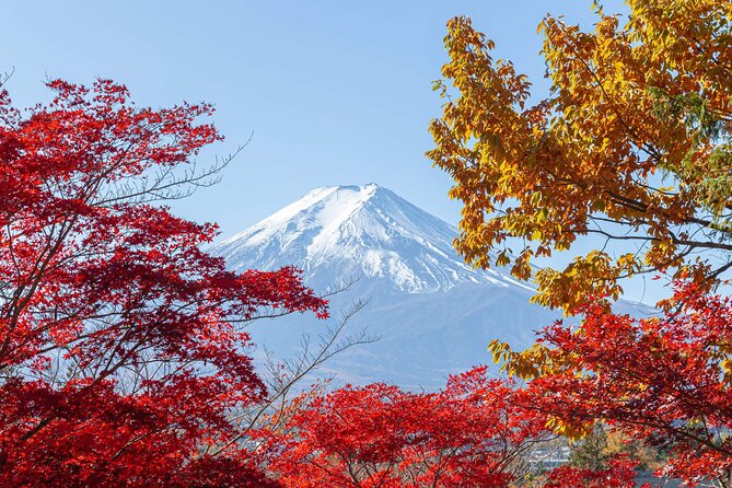 Mt. Fuji Oshino Hakkai and Gotemba Outlets Tour - Who Should Book This Tour?