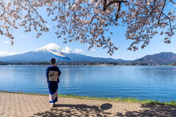 Mt. Fuji Oshino Hakkai and Gotemba Outlets Tour - Key Points