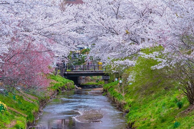 Mt Fuji and Hakone Day Trip from Tokyo with Ropeway Experience - An In-Depth Look at the Tour Experience