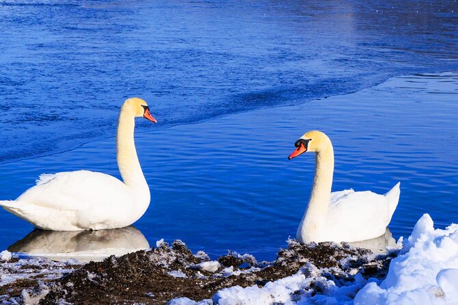 Mt Fuji and Hakone Day Trip from Tokyo with Ropeway Experience - Final Thoughts