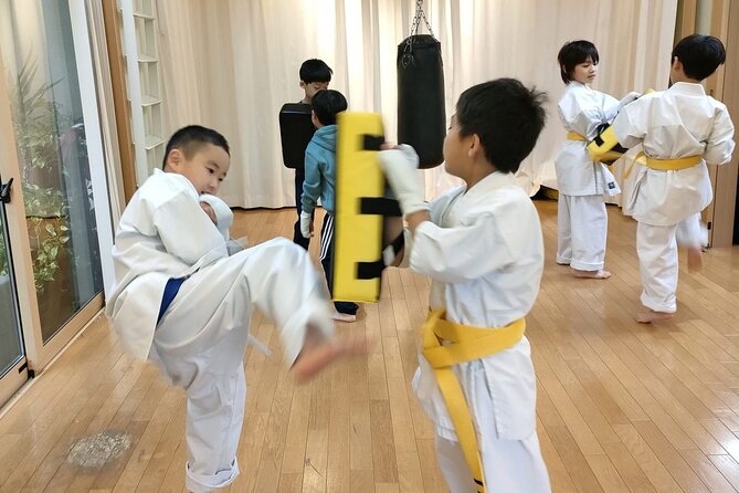 Karate in Japan Traditional Martial Art Experience - Who Should Consider This Experience?