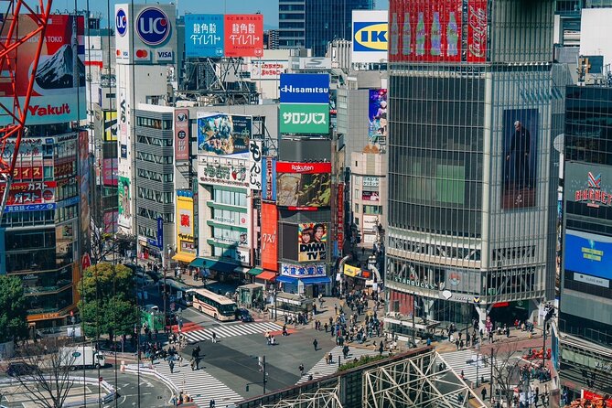 Tokyo Early Morning Tour Asakusa Meiji Shrine and Tsukiji Market - Authentic Reviews and Insights