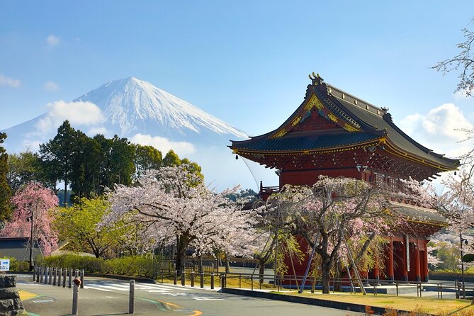 Tokyo: Mt. Fuji Cherry Blossoms and Tea picking Tour - Who Should Consider This Tour?