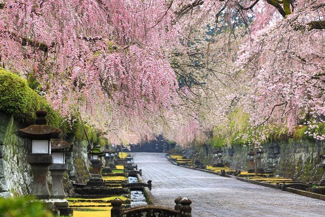 Tokyo: Mt. Fuji Cherry Blossoms and Tea picking Tour - The Sum Up