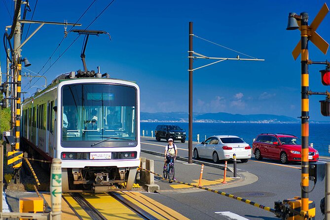 Kamakura Cherry Blossom Full Day Walking Tour with a Local Guide - FAQs
