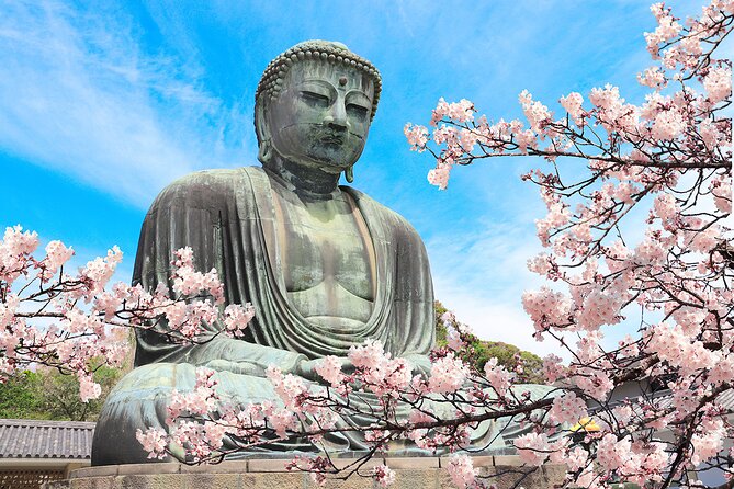 Kamakura Cherry Blossom Full Day Walking Tour with a Local Guide - Good To Know