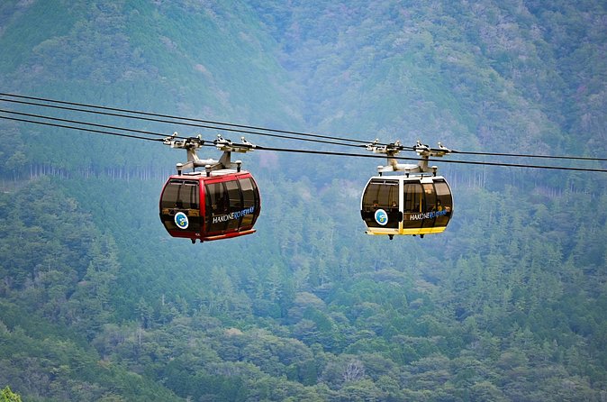 Hakone Wonders: Private Tour from Tokyo with Breathtaking Views - Final Thoughts: Who Is This Tour For?