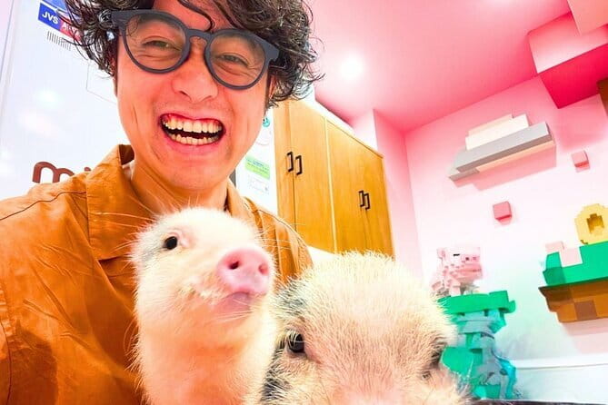 Harajuku Highlights: Where Tradition Meets Tokyo Pop - Who Will Love This Tour?