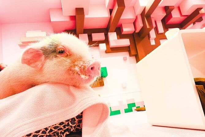 Harajuku Highlights: Where Tradition Meets Tokyo Pop - Good To Know