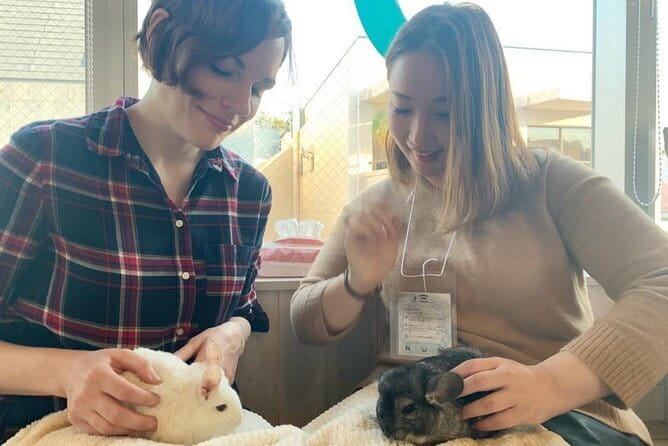 Mount Fuji and Hakone Private Day Trip by Car/Van - in English - FAQ