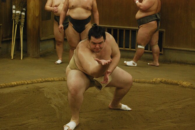 Tokyo: Visit To Sumo Stable & Watch Morning Practice - Final Thoughts