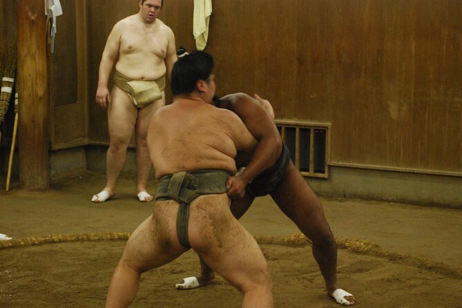 Tokyo: Visit To Sumo Stable & Watch Morning Practice - Who Should Take This Tour?