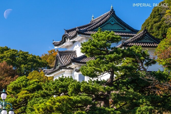 Anywhere you Like Tokyo Customized Tour in 5 hours - Why This Tour Offers Good Value