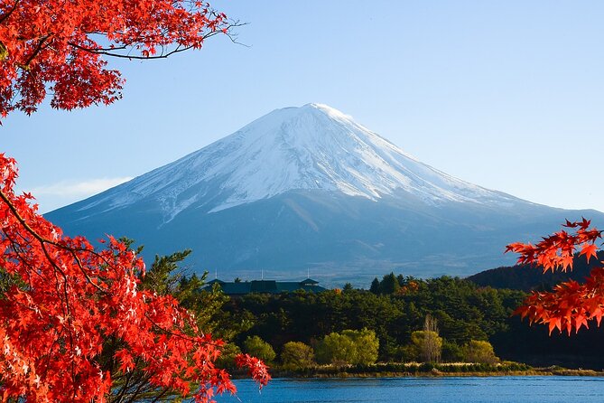 From Tokyo: Mount Fuji Sightseeing Full Day Trip - Transportation and Group Dynamics