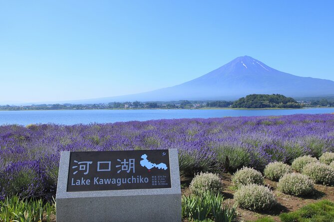 From Tokyo: Mount Fuji Sightseeing Full Day Trip - What to Expect from the Itinerary