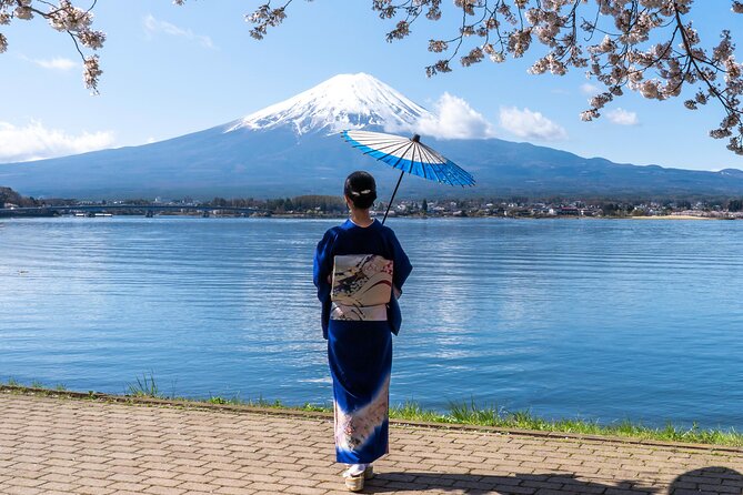 From Tokyo: Mount Fuji Sightseeing Full Day Trip - Who is This Tour Best For?