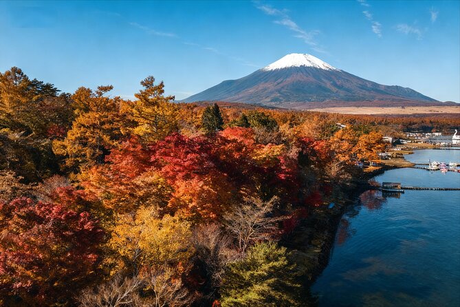 Mt Fuji Twin Lakes Maple Festival Night Lights Tour - What Travelers Can Expect