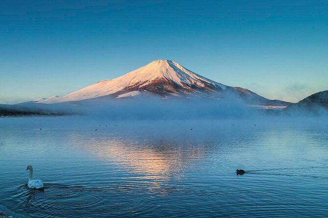 Mt Fuji Twin Lakes Maple Festival Night Lights Tour - FAQ