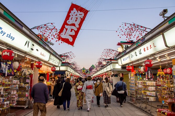 Tokyo Wheelchair-Friendly Custom Day Tour: Asakusa, Tsukiji - What’s Included and What’s Not