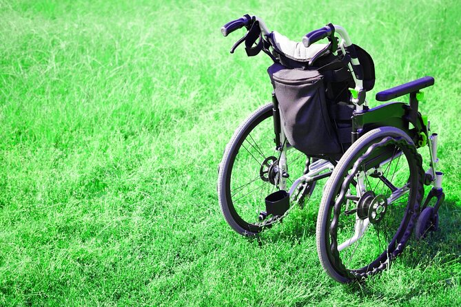 Tokyo Wheelchair-Friendly Custom Day Tour: Asakusa, Tsukiji - Additional Details and Practical Tips