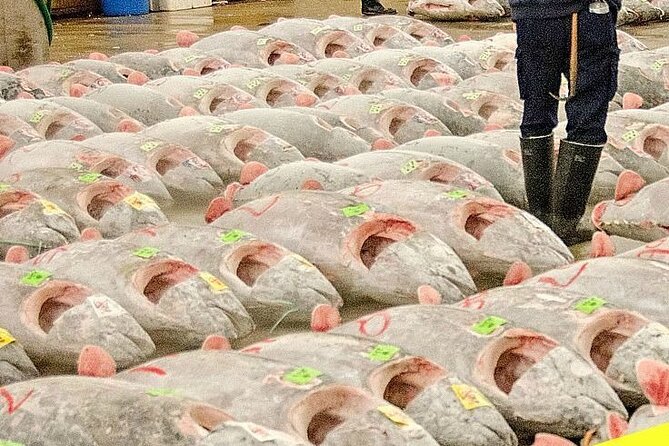 Full Day Tokyo Experience With English Speaking Driver - Tour Highlights