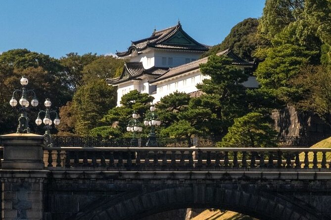 Full Day Tokyo Experience With English Speaking Driver - Inclusions and Exclusions