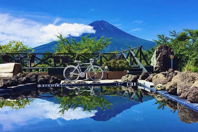 Mt. Fuji and Lake Kawaguchi Sakura Festival Sightseeing Tour - Who Should Consider This Tour?