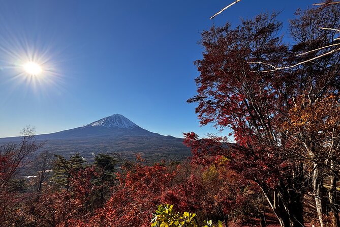 Mt Fuji Sunrise and Scenic Tour Private Journey to Experience - Who Will Love This Tour?