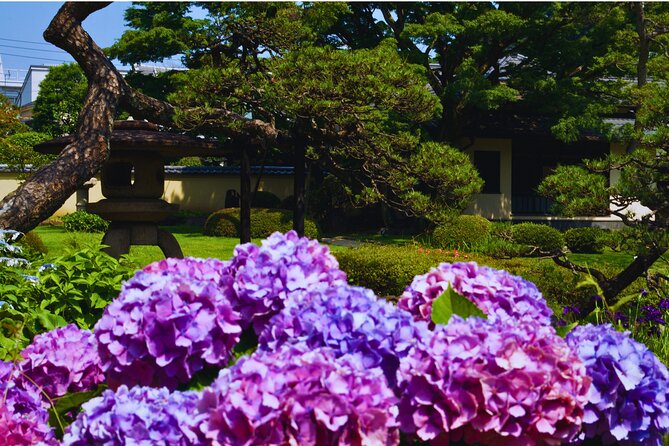 Ageless Tokyo, Sugamo and Harajuku - Exploring the Itinerary in Detail