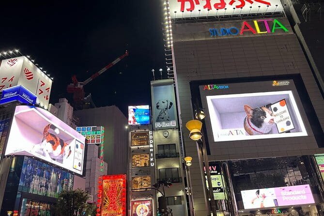 Tokyo Private City Tour - Considerations Before Booking