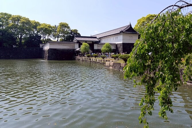 Tokyo: Imperial Palace and Shogun Historical Walking Tour - Who Should Consider This Tour?