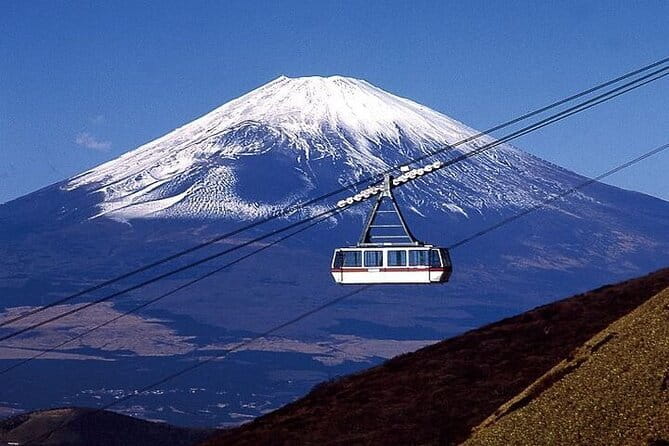 Hakone Private Tour: Onsen, Lake Ashi Cruise & Mt. Fuji Views - Who Is This Tour Best For?