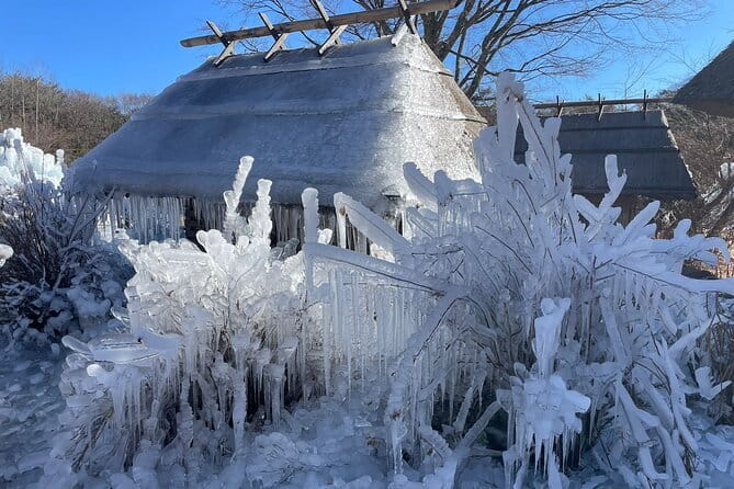 Customisable Mt.Fuji Private Day Trip, English Speaking Driver - What’s Included and What’s Not