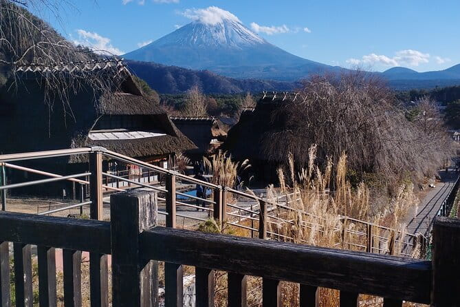 Customisable Mt.Fuji Private Day Trip, English Speaking Driver - Exploring Japan’s Icon: The Customisable Mt. Fuji Private Day Trip