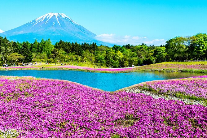 Mt. Fuji 5th, Oshino Hakkai, Onsen Full-Day Trip From Tokyo - Frequently Asked Questions (FAQs)