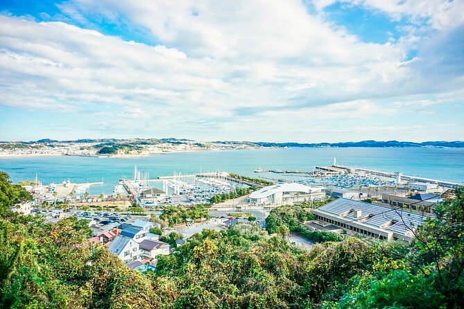 Tokyo Yokohama Night View Tour With Kamakura And Enoshima Island - A Deep Dive into the Experience