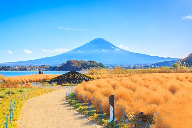 Mt Fuji Pilgrimage Full Day Tour with 7 Must See Scenic Spots - Who Should Consider This Tour?